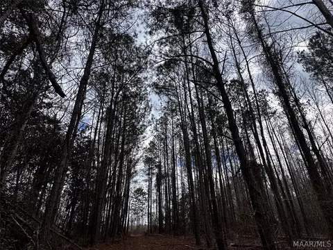 0 County Rd, Monroeville, AL 36460 photo 44