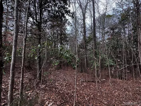 0 County Rd, Monroeville, AL 36460 photo 28