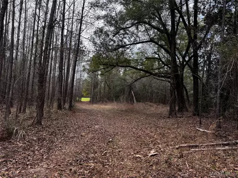 0 County Rd, Monroeville, AL 36460 photo 5