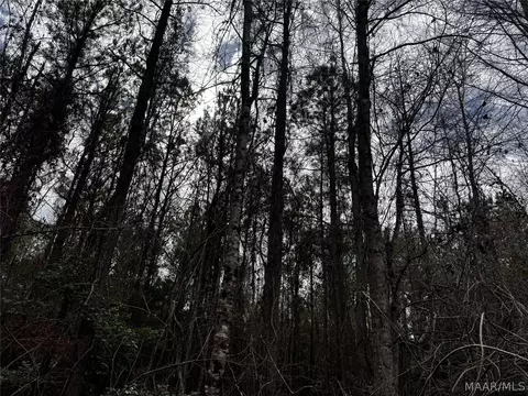 0 County Rd, Monroeville, AL 36460 photo 19