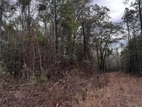 0 County Rd, Monroeville, AL 36460 photo 8