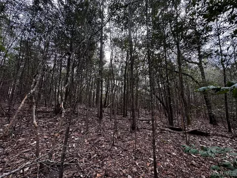 0 County Rd, Monroeville, AL 36460 photo 31