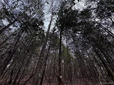 0 County Rd, Monroeville, AL 36460 photo 32