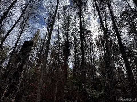 0 County Rd, Monroeville, AL 36460 photo 18