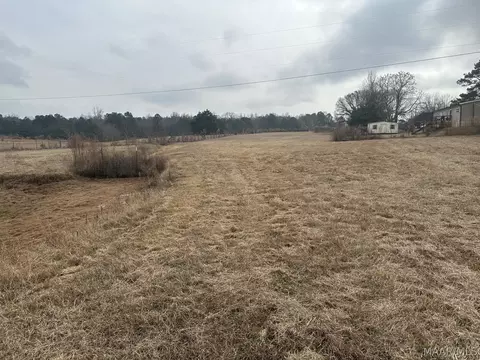 0 Skipper Rd, Eclectic, AL 36024 photo 8