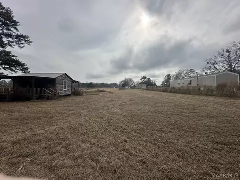 0 Skipper Rd, Eclectic, AL 36024 photo 4