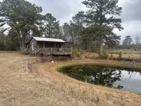 0 Skipper Rd, Eclectic, AL 36024 photo 6