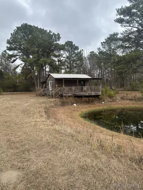 0 Skipper Rd, Eclectic, AL 36024 photo 5