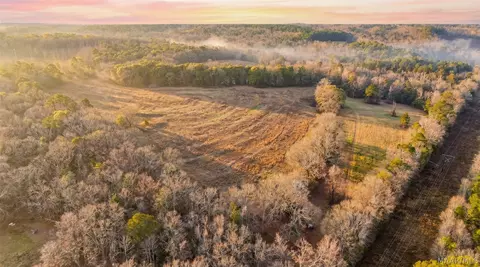 1454 County Road 1128 Acres Acres, Troy, AL 36079