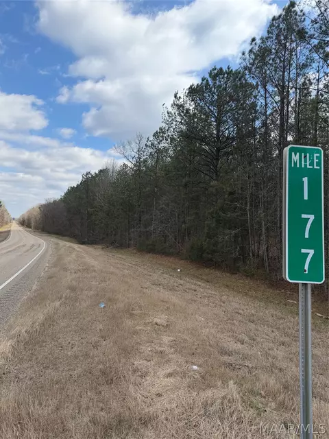 4 Highway 82, Mathews, AL 36052