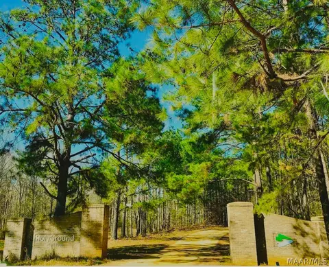 lot30 A Red Eagle Dr, Lowndesboro, AL 36752