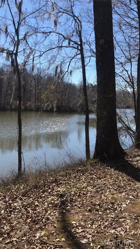 lot132 Red Eagle Dr, Lowndesboro, AL 36752