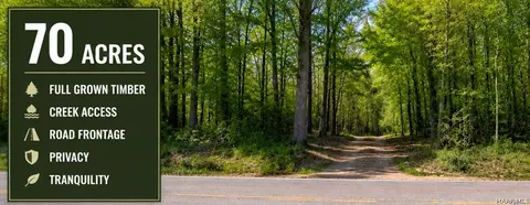 0 County Road 4, Greensboro, AL 36744
