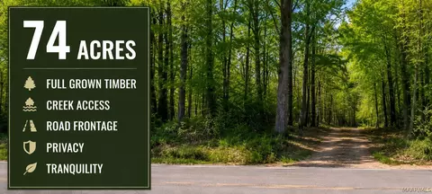 0 County Road 4, Greensboro, AL 36744