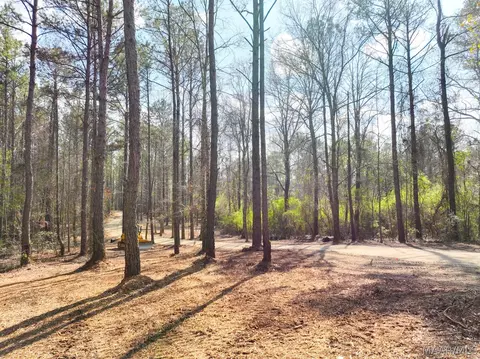 11 Highway 80 Hwy, Auburn, AL 36830 photo 11