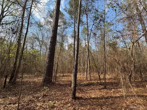 11 Highway 80 Hwy, Auburn, AL 36830 photo 7