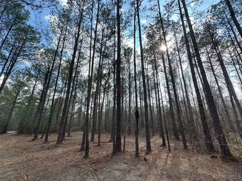 11 Highway 80 Hwy, Auburn, AL 36830 photo 9