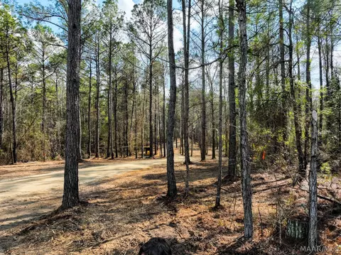 11 Highway 80 Hwy, Auburn, AL 36830 photo 6