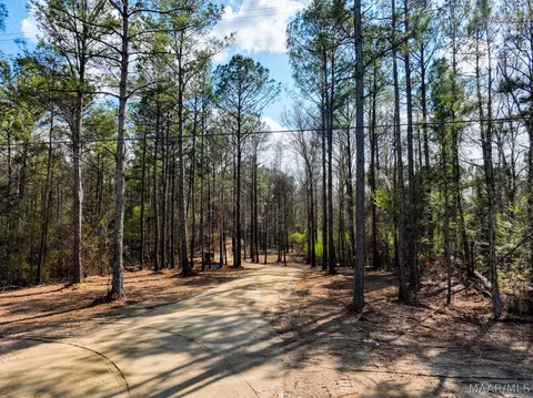 11 Highway 80 Hwy, Auburn, AL 36830 photo 10
