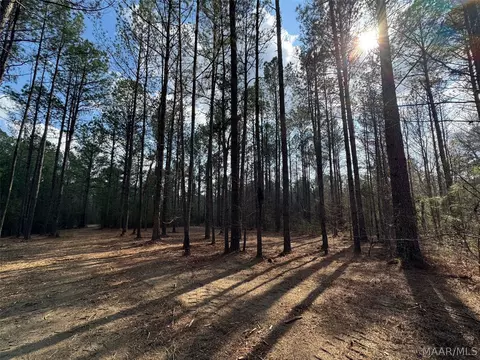 11 Highway 80 Hwy, Auburn, AL 36830 photo 8