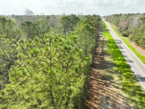 11 Highway 80 Hwy, Auburn, AL 36830 photo 4