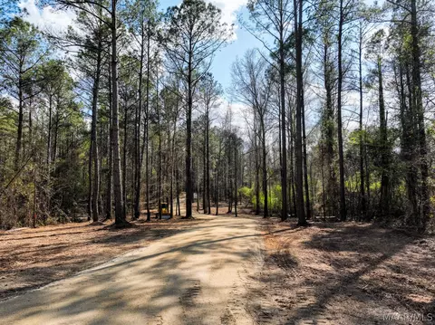 11 Highway 80 Hwy, Auburn, AL 36830 photo 5