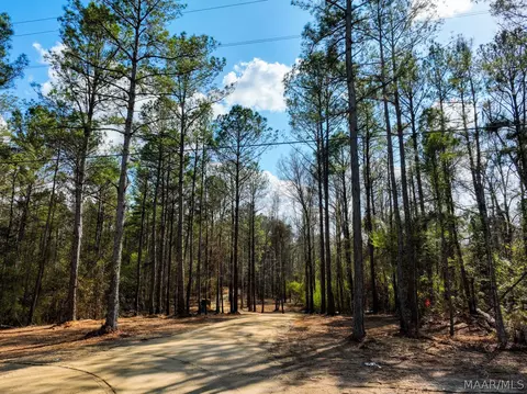 11 Highway 80 Hwy, Auburn, AL 36830 photo 3