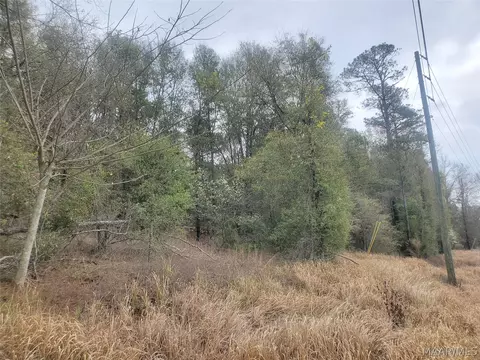 1 Pleasant Hill Rd, Gilbertown, AL 36908