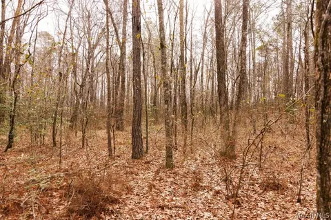 3 Jug Factory Rd, Redland, AL 36093