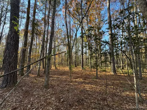 8 Jug Factory Rd, Redland, AL 36093
