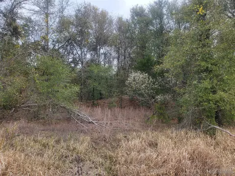 0 Pleasant Hill Rd, Gilbertown, AL 36908