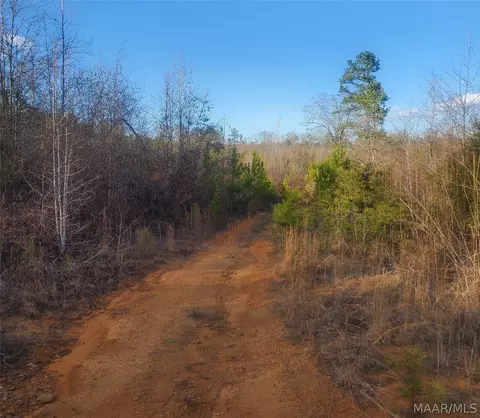 0 Brownin Rd, Tuscaloosa, AL 35480 photo 12