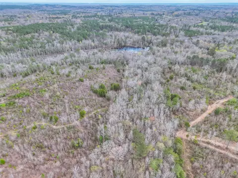 0 Brownin Rd, Tuscaloosa, AL 35480 photo 18