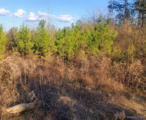 0 Brownin Rd, Tuscaloosa, AL 35480 photo 17