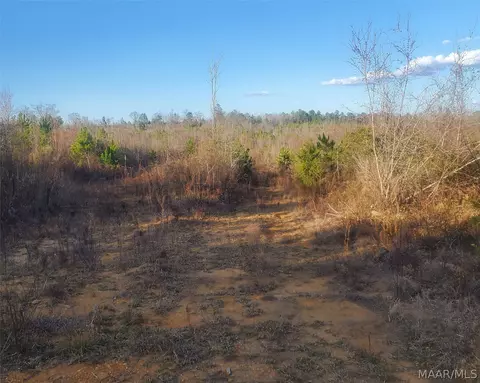 0 Brownin Rd, Tuscaloosa, AL 35480 photo 7