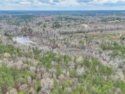 0 Brownin Rd, Tuscaloosa, AL 35480 photo 9