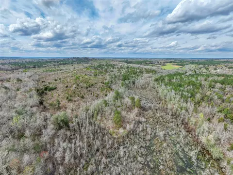 0 Brownin Rd, Tuscaloosa, AL 35480 photo 6