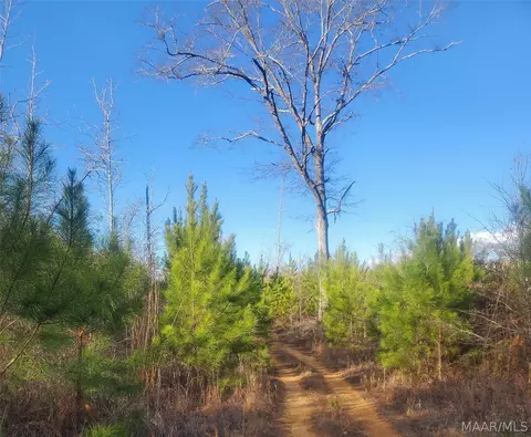 0 Brownin Rd, Tuscaloosa, AL 35480 photo 2