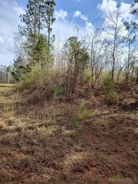 0 W Mill St, Georgiana, AL 36033