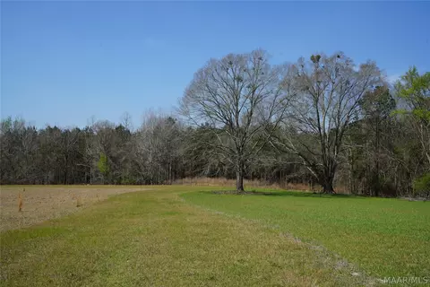11540 Hobbie Rd, Ramer, AL 36069 photo 4