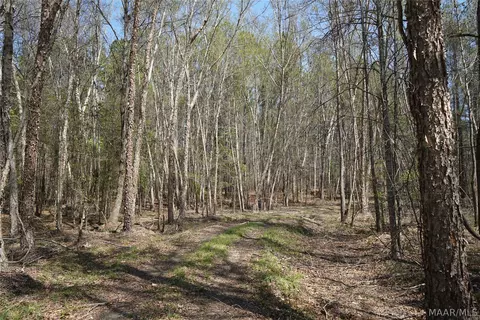 11540 Hobbie Rd, Ramer, AL 36069 photo 6