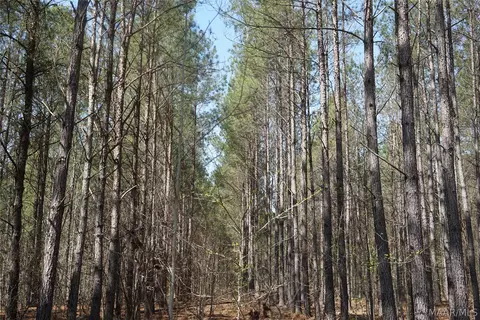 11540 Hobbie Rd, Ramer, AL 36069 photo 9
