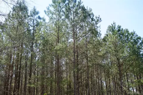 11540 Hobbie Rd, Ramer, AL 36069 photo 8