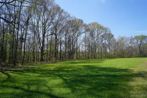 11540 Hobbie Rd, Ramer, AL 36069 photo 7