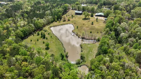 12110 Highway 10 W, Pine Hill, AL 36769