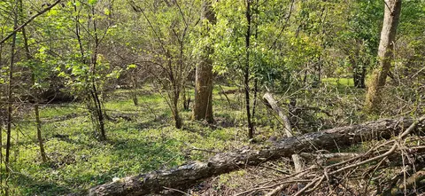 0 Windmill Rd, Fairhope, AL 36532