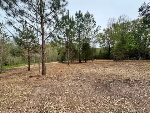 10 Sprague Junction Rd W, Ramer, AL 36069