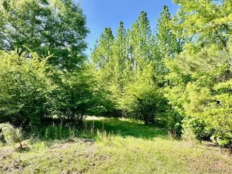 0 Union Rd, Eclectic, AL 36024 photo 8