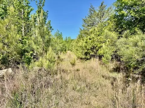 0 Union Rd, Eclectic, AL 36024 photo 5