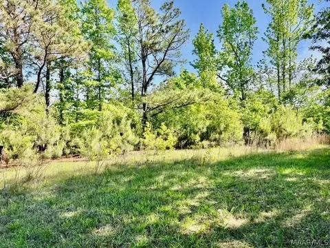 0 Union Rd, Eclectic, AL 36024 photo 15